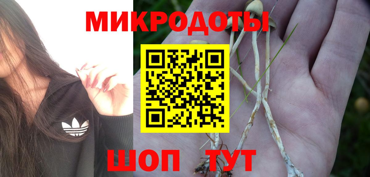 Псилоцибиновые грибы GOLDEN TEACHER Нижнекамск