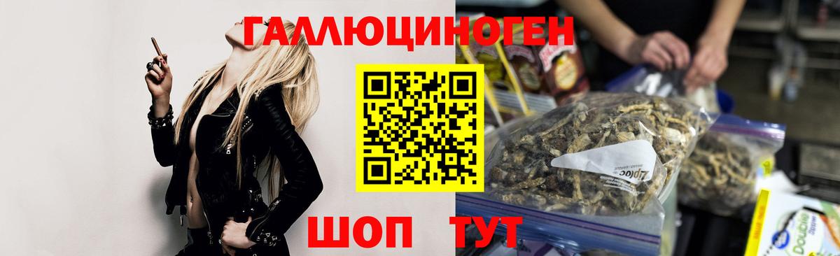 Нижнекамск  Псилоцибиновые грибы ЛСД  Галлюциногенные грибы Cubensis  Вход с VPN 