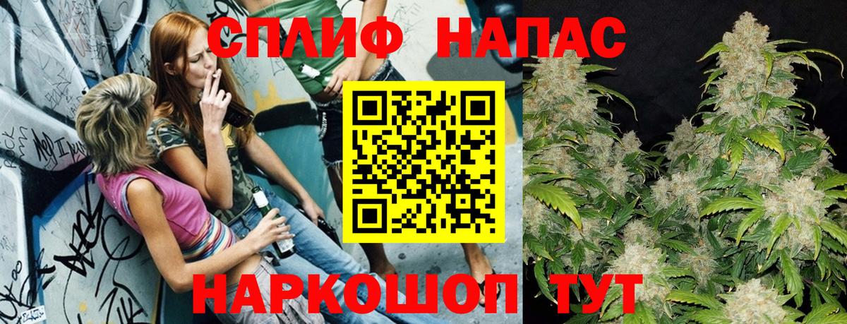 Бошки марихуана конопля Нижнекамск